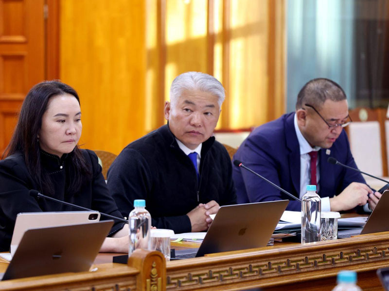 Эдийн засгийг төрөлжүүлэх, гадаад валютын нөөцийг нэмэгдүүлэхэд ач холбогдолтой төслүүдийг нэн тэргүүнд хэрэгжүүлнэ